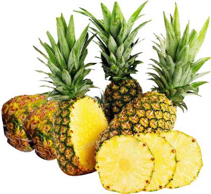 Redoak Pineapple Fruit seeds -100pcs Seed