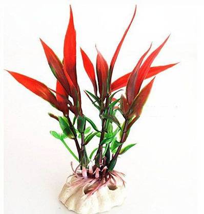 FISH PLANT PNT03 Aquarium Plant Aquarium Plant Anchor