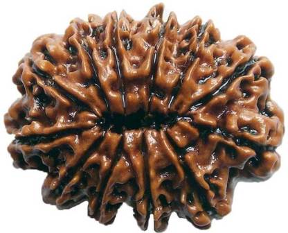 सरक 13 MUKHI RUDRAKSHA Pendant/Locket लकड़ी पेंडेंट