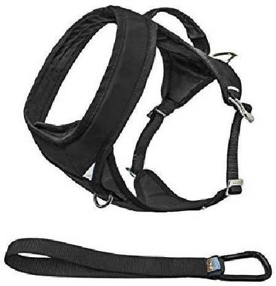 Kurgo Dog Collar & Leash