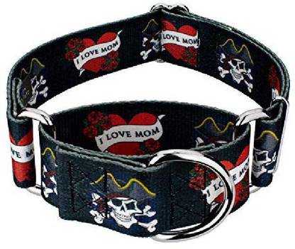 Country Brook Design Dog Everyday Collar