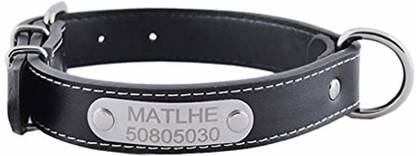 Personalized Dog Everyday Collar