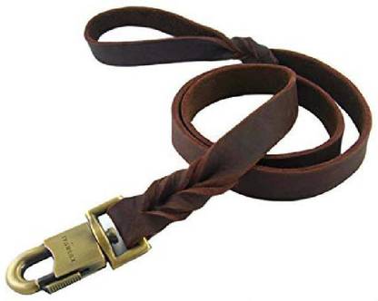 Rantow 152.4 cm Dog Strap Leash