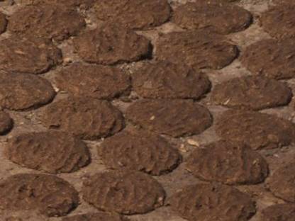 KAMDHENU PURE COW DUNG (UPLA) PACK OF 15PCS