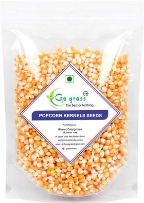 GO GRASS Popcorn kernels seeds Butter Popcorn