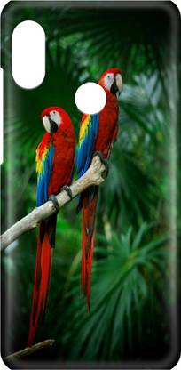 Arcent Back Cover for Vivo Y17 CASE COVER COVER, LOVE, PARROT