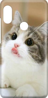Arcent Back Cover for Asus Zenfone Max Pro M2/LOVE/CUTE CAT/FOR GIRLS