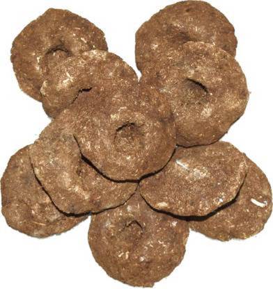 holi cow cakes