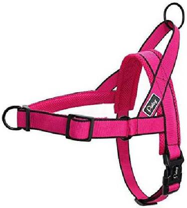 Didog Dog Standard Harness