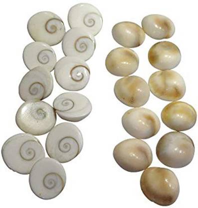 NAKSHATRA JUNCTION Sea Shell Gomati Chakra, Standard Size, White -Set of 21 Pieces Decorative Showpiece  -  2 cm