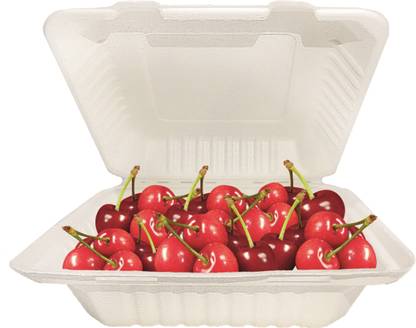 Ambassador Paper Grocery Container  - 850 ml