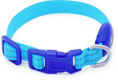 Domi Dog Everyday Collar
