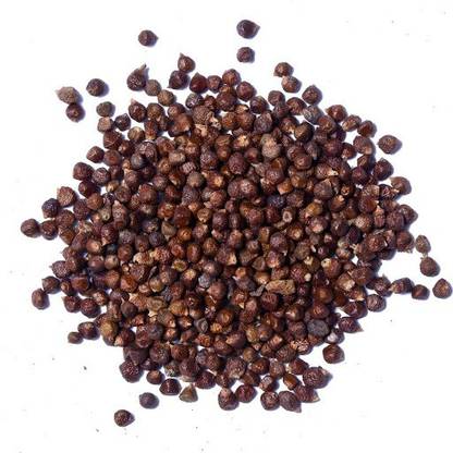 Go Raw tumbru beej, beej tomar, timur, tomru seeds, nepali dhania, zanthoxylum alatum Seed