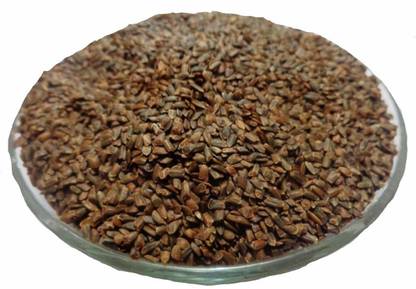 Go Raw talmakhana seeds - taal makhana beej - kokilaksha beej - asteracantha longifolia (500 gram per pack) Seed