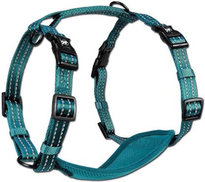 ALCOTT Dog Collar & Leash