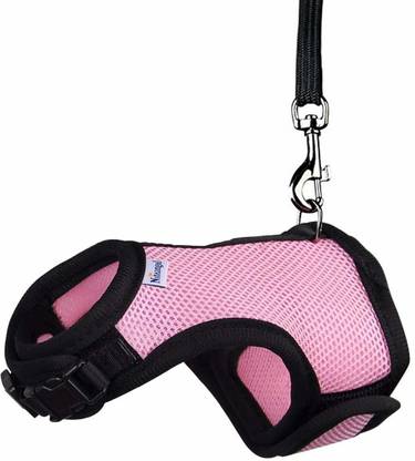NiteangelÂ® Rabbit Collar & Leash