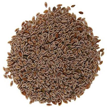 Go Raw isabgol Seeds / Psyllium Seed Seed