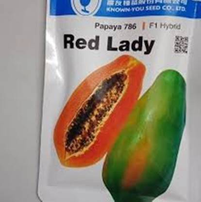 VINAYAKAUSHADHI red lady 786 papaya f1 hybrid (50 Gram Seeds ) Seed