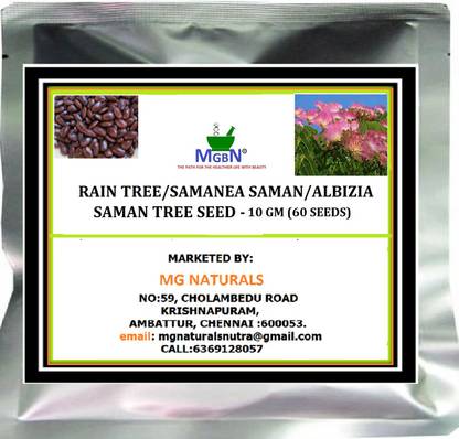 MGBN RAIN TREE/SAMANEA SAMAN/ALBIZIA SAMAN TREE - 10 GM (60 SEEDS) Seed