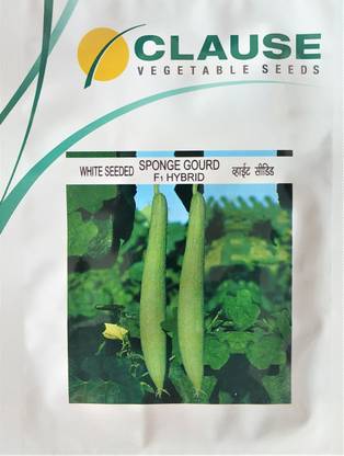 clause SPONGE GOURD F1 HYBRID, 10GM Seed