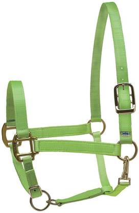 REALM Horse Harness & Leash