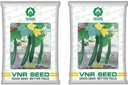 VNR Lockey Seed
