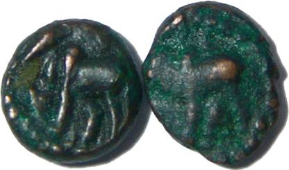 TRADITIONALSHOPPE NAGAS OF NARWAR PADMAVATI COINS ( VERY SMALL COINS ) Ancient Coin Collection