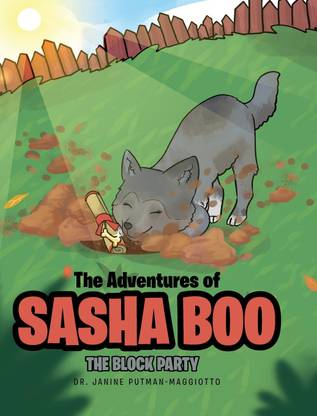 The Adventures of Sasha Boo