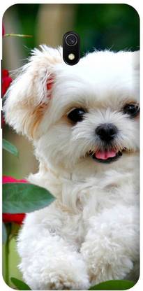 SSMORYA Back Cover for Redmi 8A Cute Dog Printed Back Cover