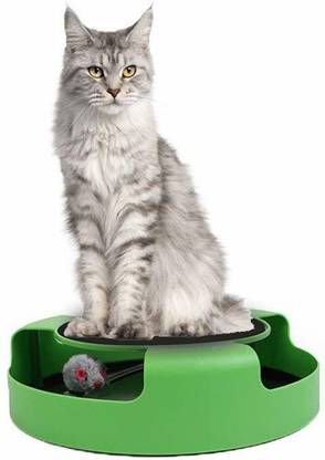 ODDEVEN Catch The Mouse Cat Scratcher Interactive Toy with a Running Mice and a Scratching Pad for Cats & Kittens (Green, Catch The Mouse) PP (Polypropylene) Fetch Toy For Cat