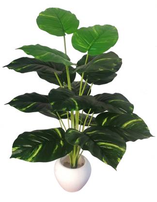 BAARIG Big Money Plant Tree with 18 Long Leaves without Pot Artificial Plant