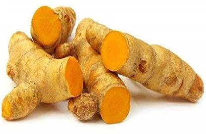 Juan Organic TURMERIC SEED Seed