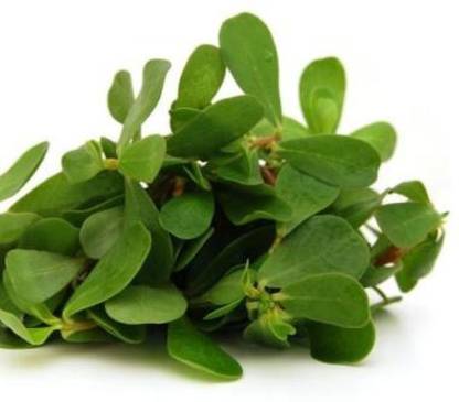 XOLDA Kulfa/Purslane Seed