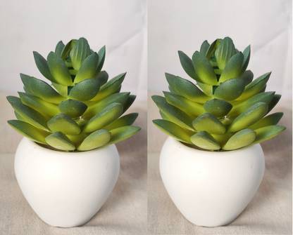BK Mart Set of 2 Imported Succulents Lotus Cactus Plant Artificial Plant  with Pot