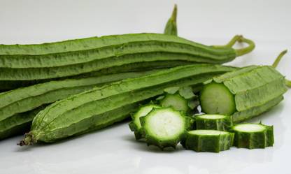 Plant Option Ridge Gourd Seed, Torai Seed, Turia Seed Seed