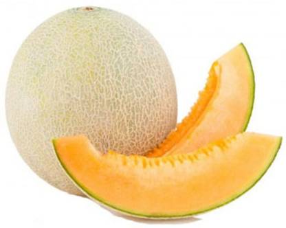 Muskmelon Kundan
