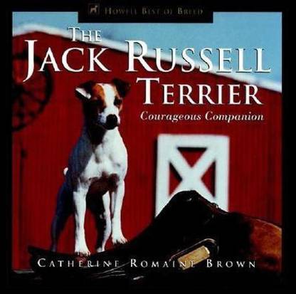 The Jack Russell Terrier