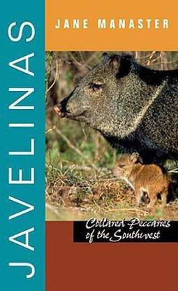 Javelinas