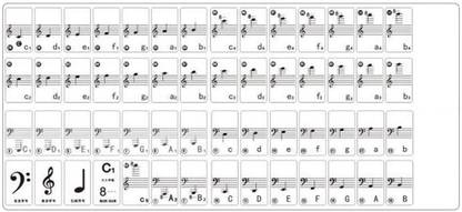 REHTRAD 10.922 cm Piano Sticker Transparent 61 Electronic Keyboard Piano Stave Note Sticker Self Adhesive Sticker