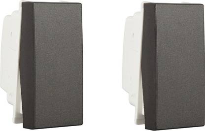 HAVELLS ORO 25A 1 Way Switch (Magnesium Grey, Pack of 2) 25 A One Way Electrical Switch