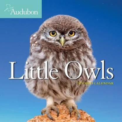 2021 Audubon Little Owls Mini Wall Calendar