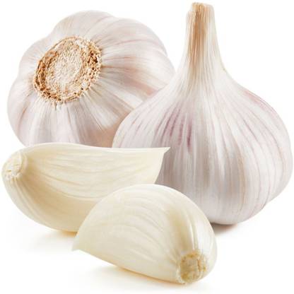Spice Nest Fresh Garlic