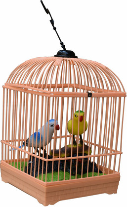 parrot pinjra online