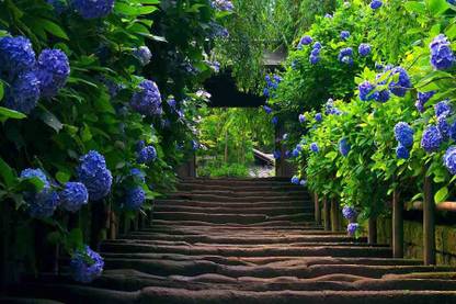 Beautiful Nature Painting Poster Waterproof Vinyl Sticker for Home Decor || can1565-1 Fine Art Print