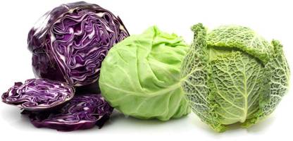 VibeX ™ XXL-104-Mixed Cabbage Seeds Combo Seed