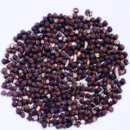 Green India Silk Cotton Tree Seeds Malabar Semul, Indian bombax, Silk Cotton, Red Cotton Tree,Bombax ceiba seeds - Pack of 50 g Seed