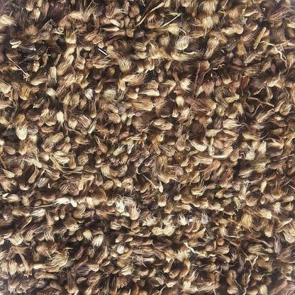 Green India Cenchrus/Buffel/Anjan/Kolukattai/Dhaman/Kusa gaddi grass fodder seeds (Pack of Average 50 gm) Seed