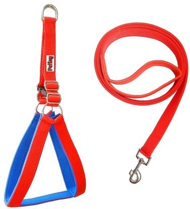 PETLEY Export Quality No-Pull Padded Dog Body Belt Harness and Strap Leash Combo Suitable for Small Breed Dogs - Pug, Chihuahua, Lhasa Apso, Pomeranian Dog Harness & Leash
