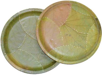 SWHF Areca Leaf 8 Inch Disposable Biodegradable Round Eco friendly Plates Dinner Plate