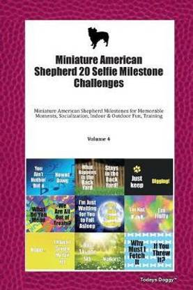 Miniature American Shepherd 20 Selfie Milestone Challenges